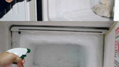 Votre congélateur ne sera plus recouvert de glace : cette astuce m’a tout de suite aidé